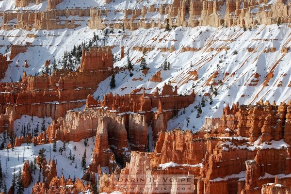 "Frosted Gingerbread" [Bryce Canyon National Park]